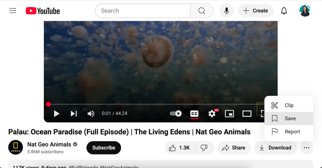 YouTube video interface highlighting the “Save” option, helpful for teachers organizing YouTube in the classroom.